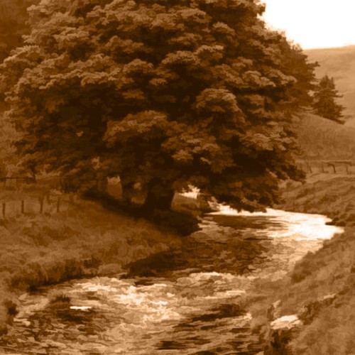BROWN 6
