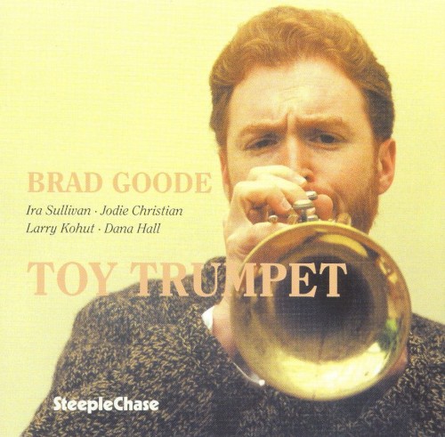 Toy Trumpet