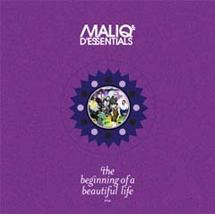 The Beginning of a Beautiful Life