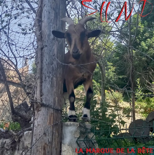 La Marque de la Bête