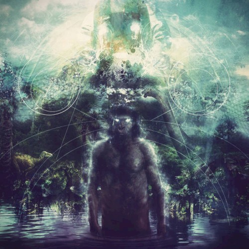 Biorealizations