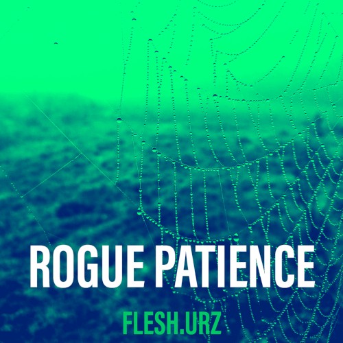 Rogue Patience