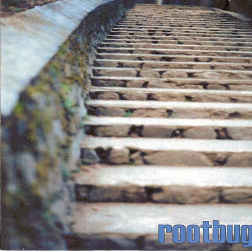 Rootbug