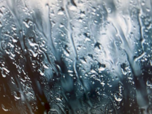 Precipitation/Gust