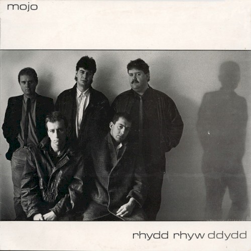 Rhydd Rhyw Ddydd