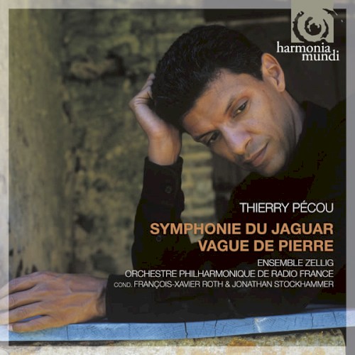 Symphonie du Jaguar / Vague de pierre