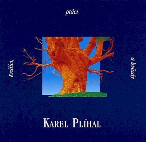 Králíci, ptáci a hvězdy