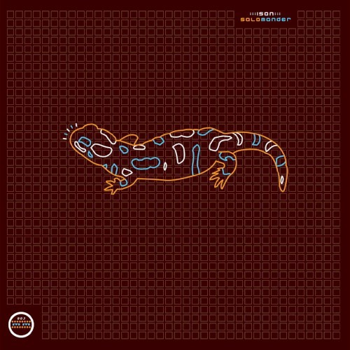 Salamander