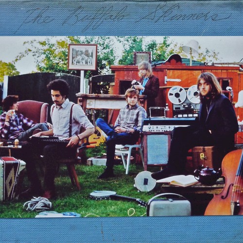 The Buffalo Skinners