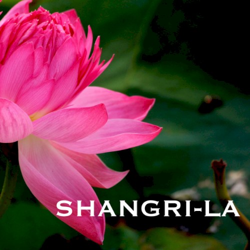 Shangri-La - Traditional Indian Meditation Music, Folk Songs, Sitar Instrumental Background for Mindfulness Meditations
