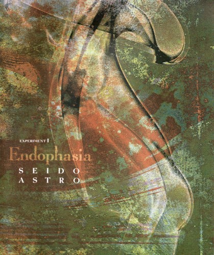 Endophasia - Experiment I