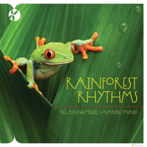 Rainforest Rhythms