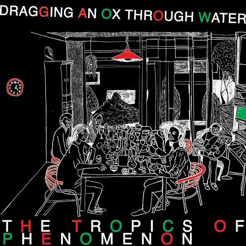 The Tropics of Phenomenon