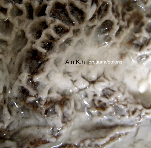 Pretium Doloris