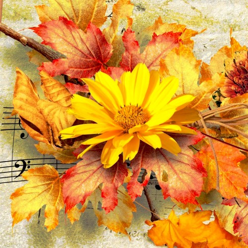 Autumn Melancholy