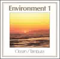 Environment 1