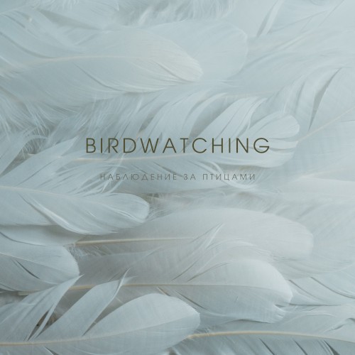Birdwatching