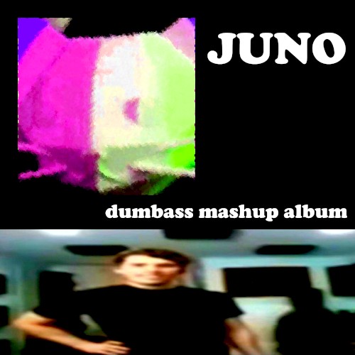 dumbass mashup album