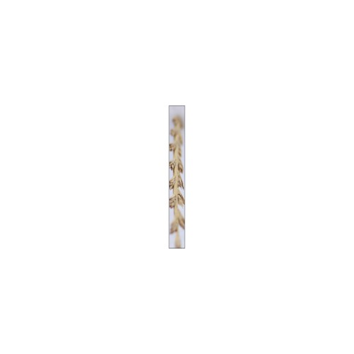 mehasufeno