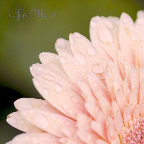 Life Album