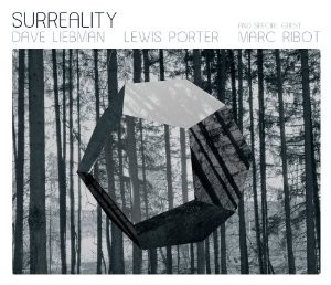 Surreality