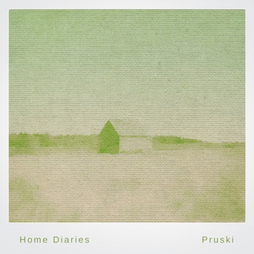 Home Diaries 005