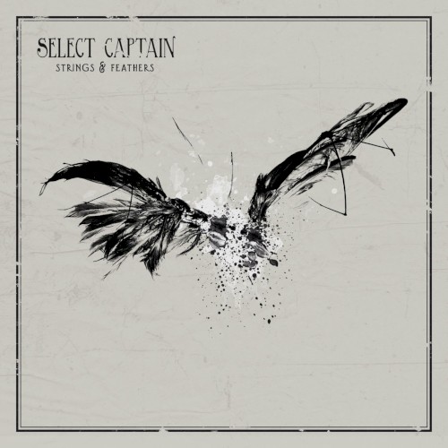 Strings & Feathers