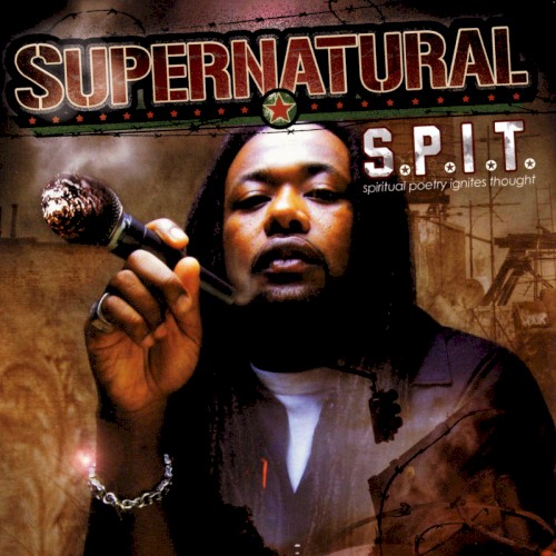 S.P.I.T. (Spiritual Poetry Ignites Thought)