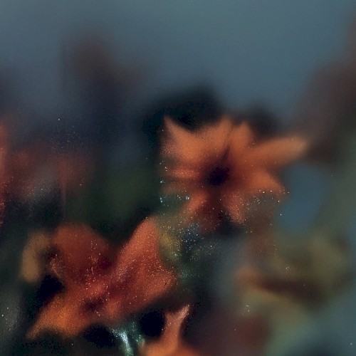 Erik M &ndash; Soft Wish