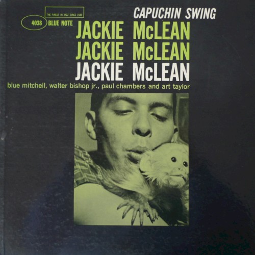 Capuchin Swing