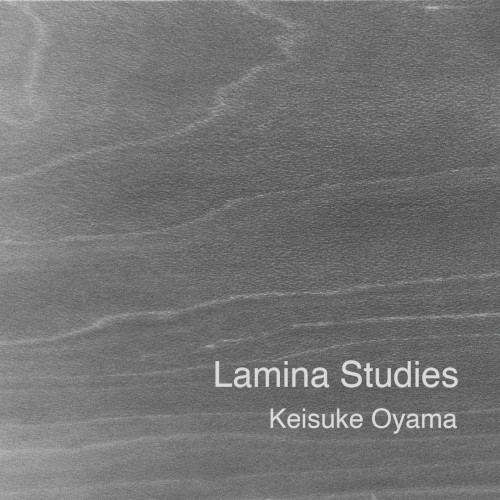 Lamina Studies