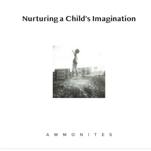 Nurturing a Child’s Imagination