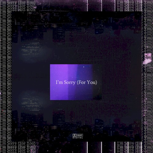 I'm Sorry (For You)
