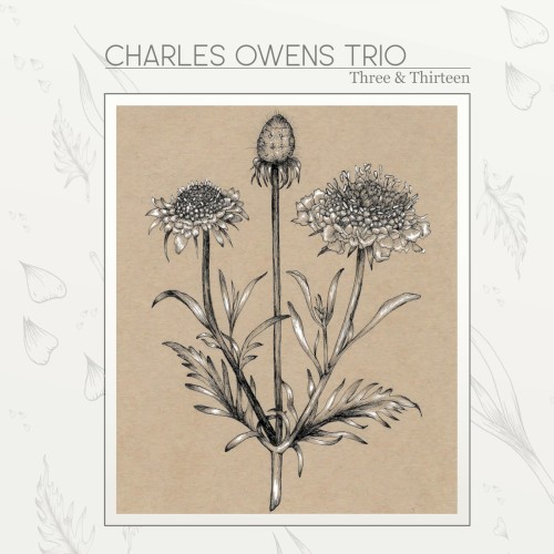 Three and Thirteen