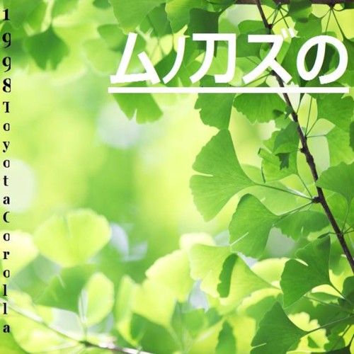 GINKO