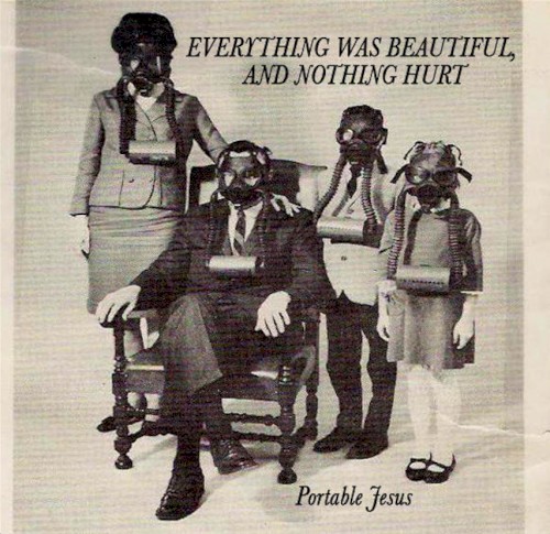 Everything Was Beautiful and Nothing Hurt