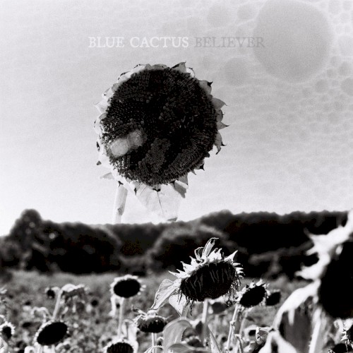 Blue Cactus &ndash; Believer
