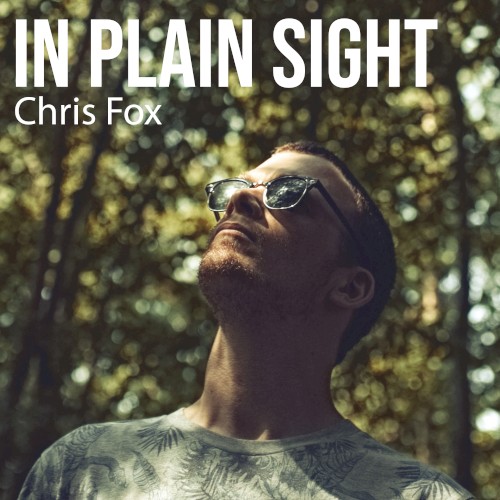 IN PLAIN SIGHT