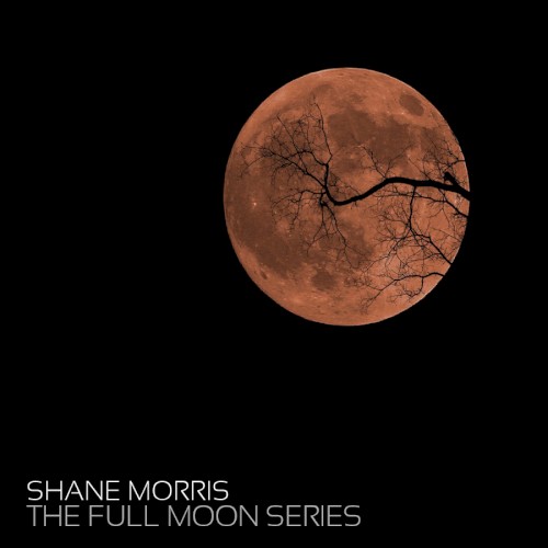 The Full Moon Series