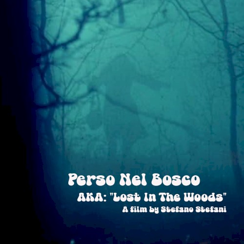 Lost in the Woods