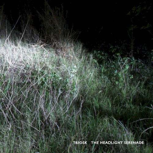 The Headlight Serenade