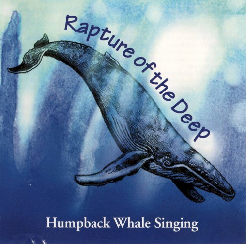 Rapture of the Deep: Humpback Whale Singing