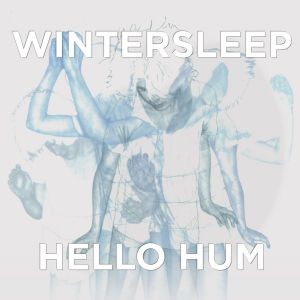 Hello Hum