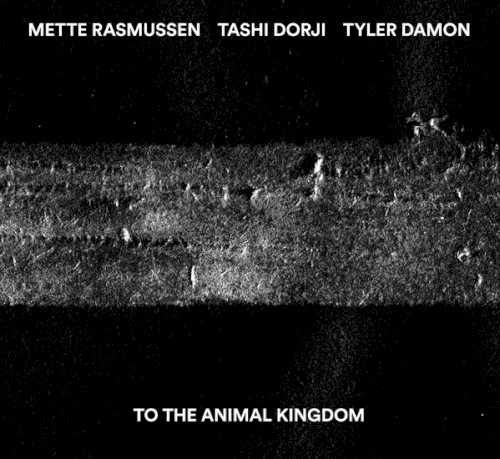 To the Animal Kingdom