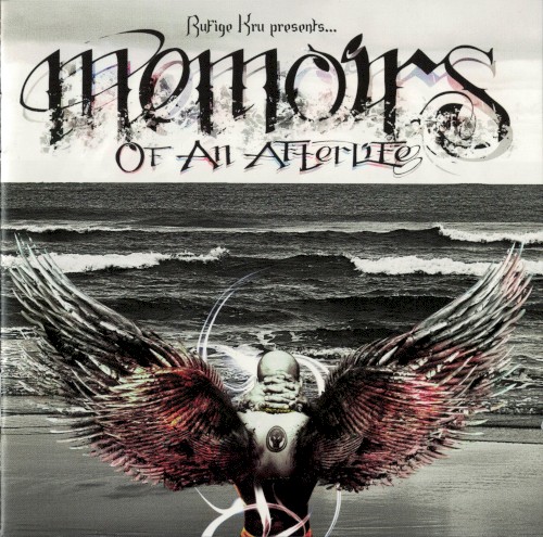 Memoirs of an Afterlife
