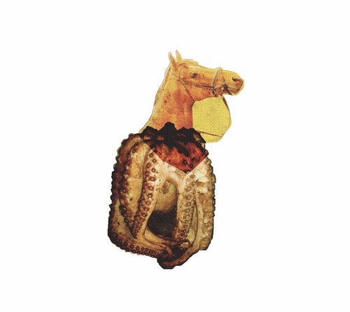 Sea horse