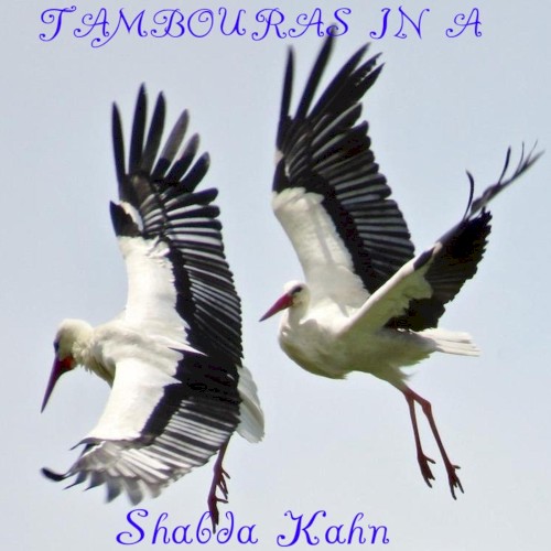 Tambouras in A