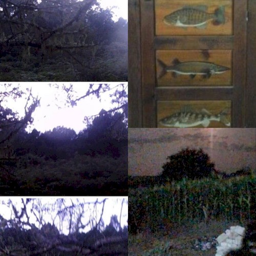 home recordings 2