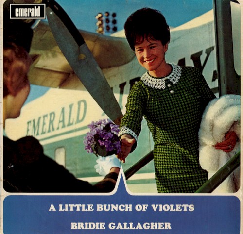 A Little Bunch of Violets
