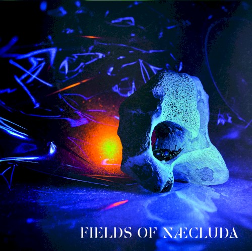 Fields of Næcluda